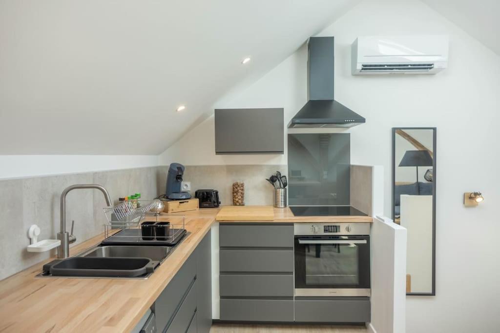 Maison/Appartement Avec Jardin Saint-Denis-en-Val Kültér fotó